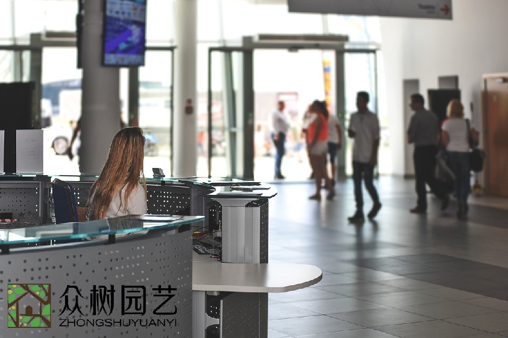 蘇州學(xué)校綠植租擺企業(yè)：打造環(huán)保校園的綠色植物解決方案