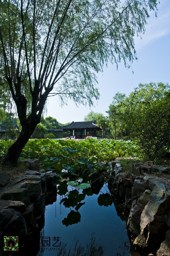 蘇州圖書館綠植租擺價(jià)錢解讀：打造生態(tài)舒適閱讀空間的秘密武器